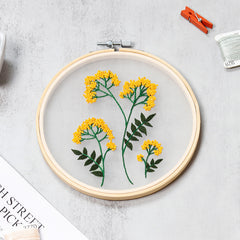Plants Transparent Embroidery Kit for Beginner Flower diy Kit, Beginner Hand Embroidery Full Kit ,Diy Start Up Embroidery Set with Pattern