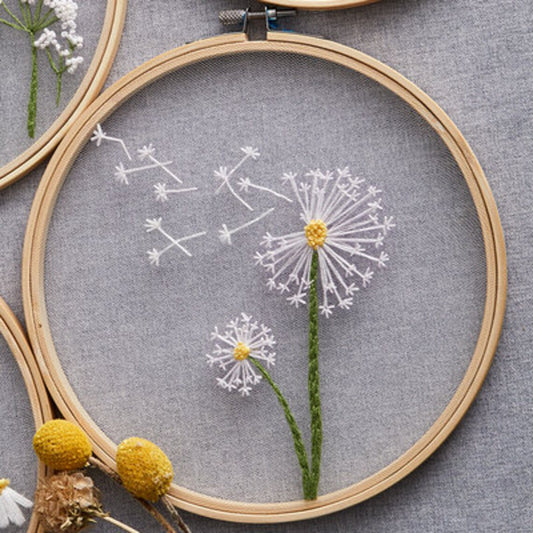 Plants transparent embroidery kit for beginner,Flower diy Kit, Floral Hand Embroidery Full Kit