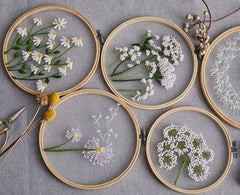 Plants transparent embroidery kit for beginner,Flower diy Kit, Floral Hand Embroidery Full Kit