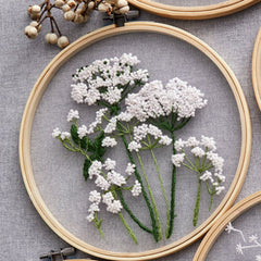 Plants transparent embroidery kit for beginner,Flower diy Kit, Floral Hand Embroidery Full Kit