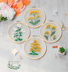 Plants Transparent Embroidery Kit for Beginner Flower diy Kit, Beginner Hand Embroidery Full Kit ,Diy Start Up Embroidery Set with Pattern